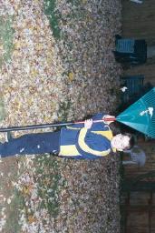 FALLLEAVES0002