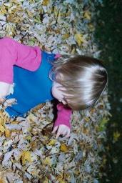 FALLLEAVES0006