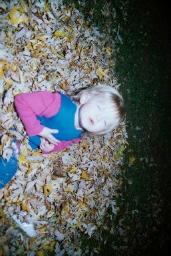 FALLLEAVES0007