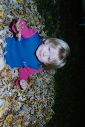 Fall Leaves