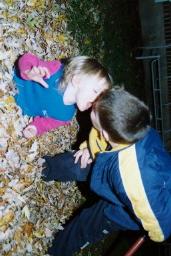 FALLLEAVES0010