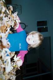 FALLLEAVES0013