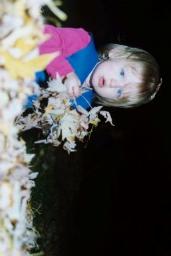 FALLLEAVES0015
