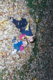 FALLLEAVES0017