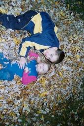 FALLLEAVES0018