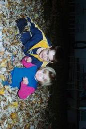 FALLLEAVES0021