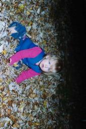 FALLLEAVES0022