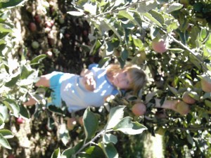 IMG_0008
