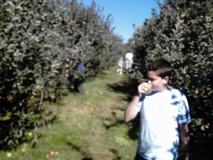 IMG_0011
