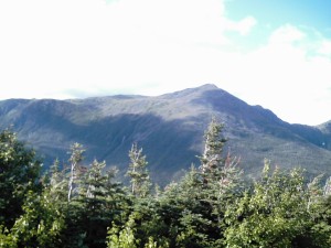 IMG_0134