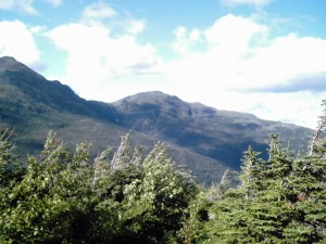 IMG_0135