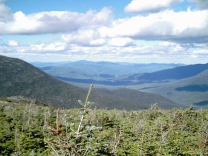 IMG_0144