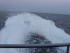 MYDC0117 _3_