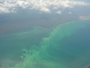 P1010289 
