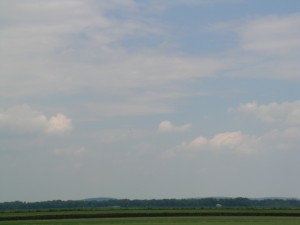 DSCN3511