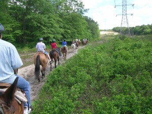 Horseback Riding