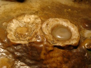 dsc01623