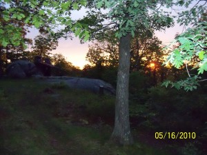 100_0422