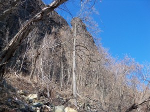 100_0350