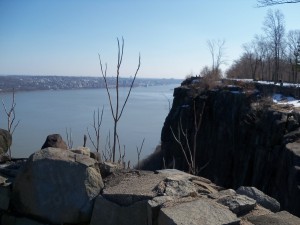 100_0361
