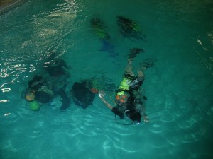 Open Water Certification