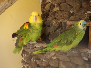 DSC02829