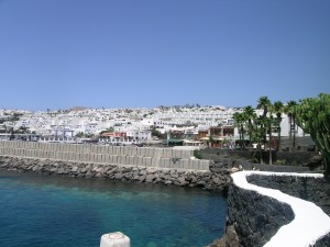 DSCN5259