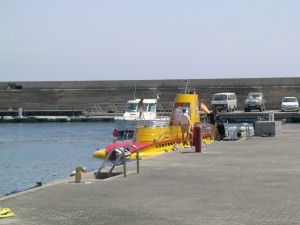 DSCN5301