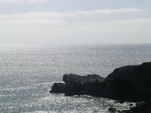DSCN5697 