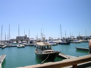 DSCN5797 