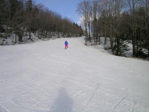 DSCN6400