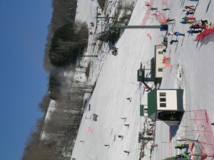 DSCN6403