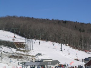 DSCN6410