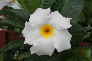 IMG_8620-01
