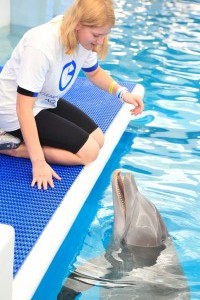 Aquarium Dolphin Encounter