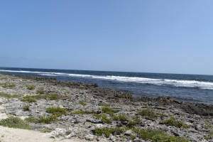 DSC_0309 