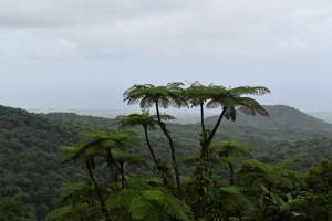 DSC_0428     