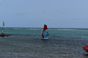 DSC_0491    