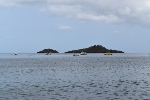 DSC_0546   