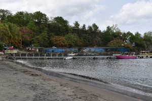 DSC_0550   