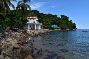 DSC 0058   