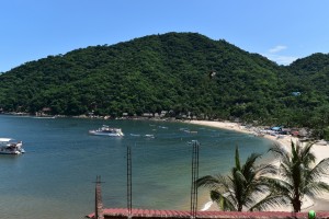 DSC 0079   