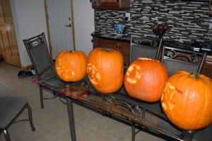 DSC 0005